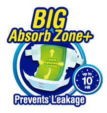 Big Absorb Zone+